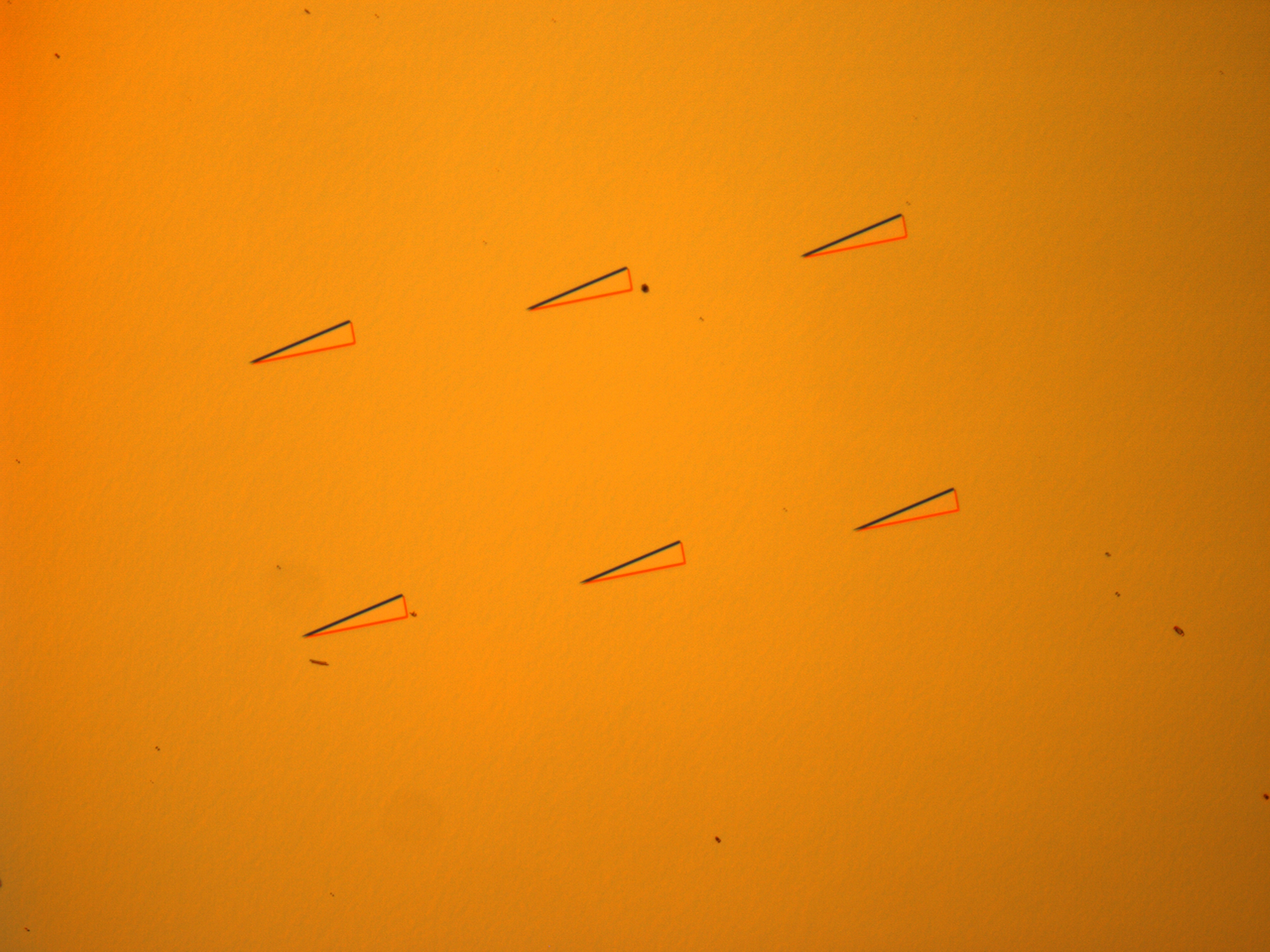 Second Image